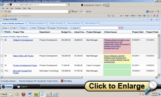 Project priority dashboard