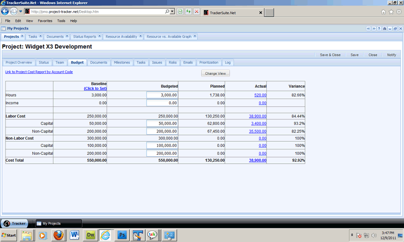 Project budget form