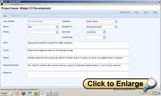 Reporting project issues